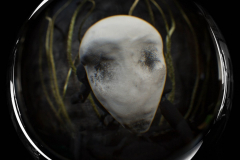 Nascence